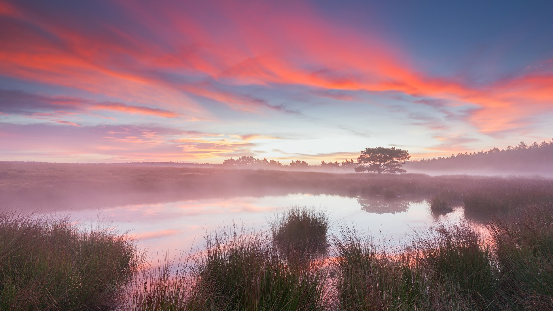 Recarregue Rápido: nosso guia de autocuidado em minutos